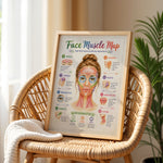 Facial Muscle Anatomy Poster Esthetician Wall Art
