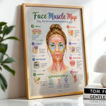 Facial Muscle Anatomy Poster Esthetician Wall Art