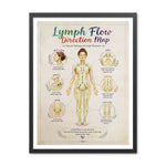 Watercolor lymph flow direction map of a standing figure with green arrows and six callouts for neck and head, chest, armpits, abdomen, groin, and legs and feet.
