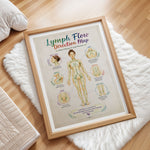 Lymph Flow Direction Map Poster Lymphatic Drainage Anatomy Chart