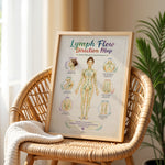 Lymph Flow Direction Map Poster Lymphatic Drainage Anatomy Chart