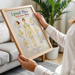 Lymph Flow Direction Map Poster Lymphatic Drainage Anatomy Chart