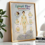 Lymph Flow Direction Map Poster Lymphatic Drainage Anatomy Chart