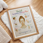 Facial Lymphatic Drainage Map Poster Face Lymph Flow Chart