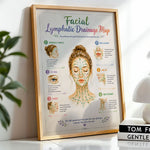 Facial Lymphatic Drainage Map Poster Face Lymph Flow Chart
