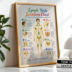 Lymph Node Locations Chart Poster Lymphatic System Anatomy Print