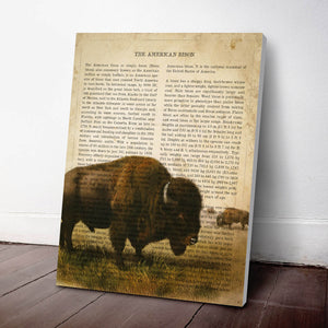 American Bison Print