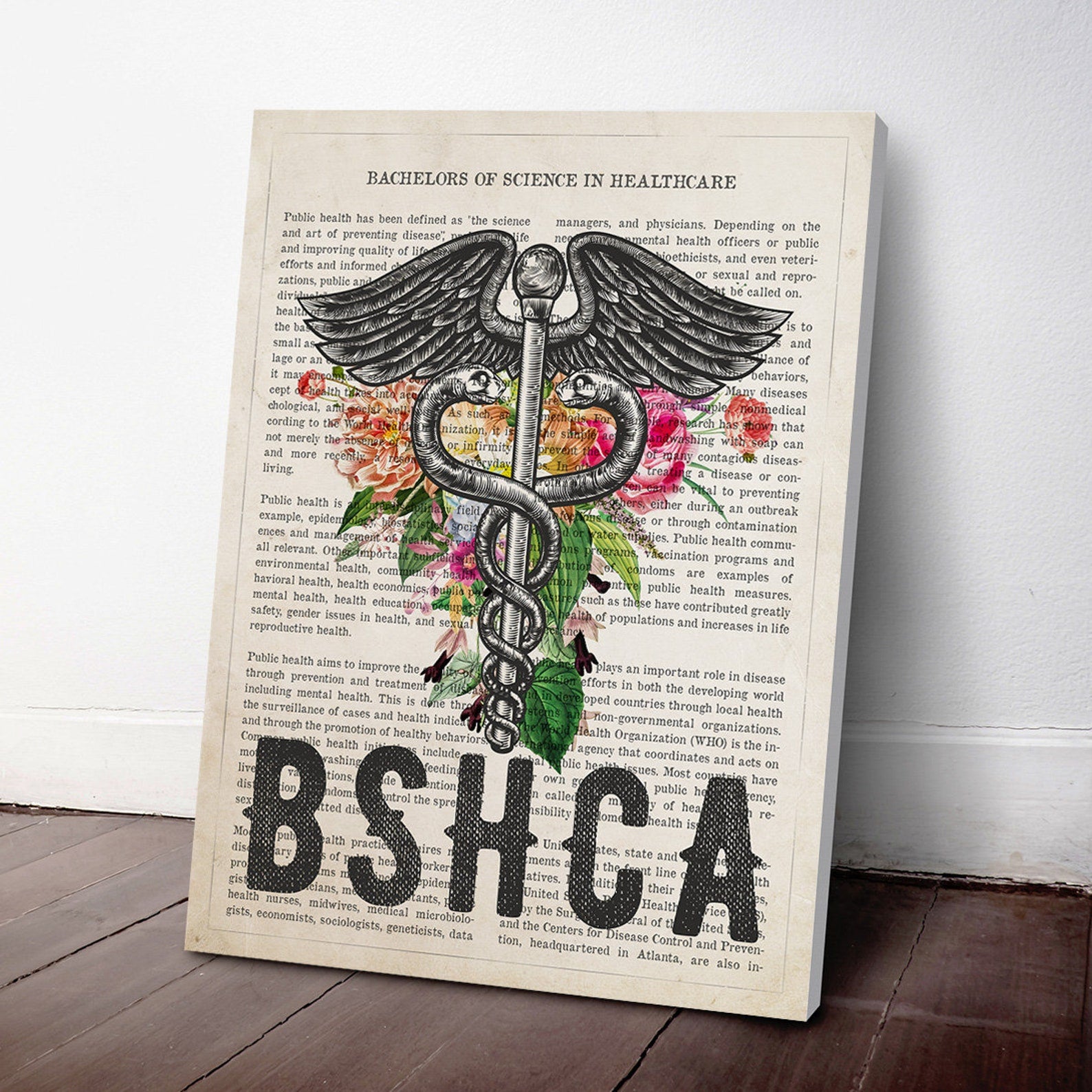 Bachelors of Science in Healthcare Administration Canvas