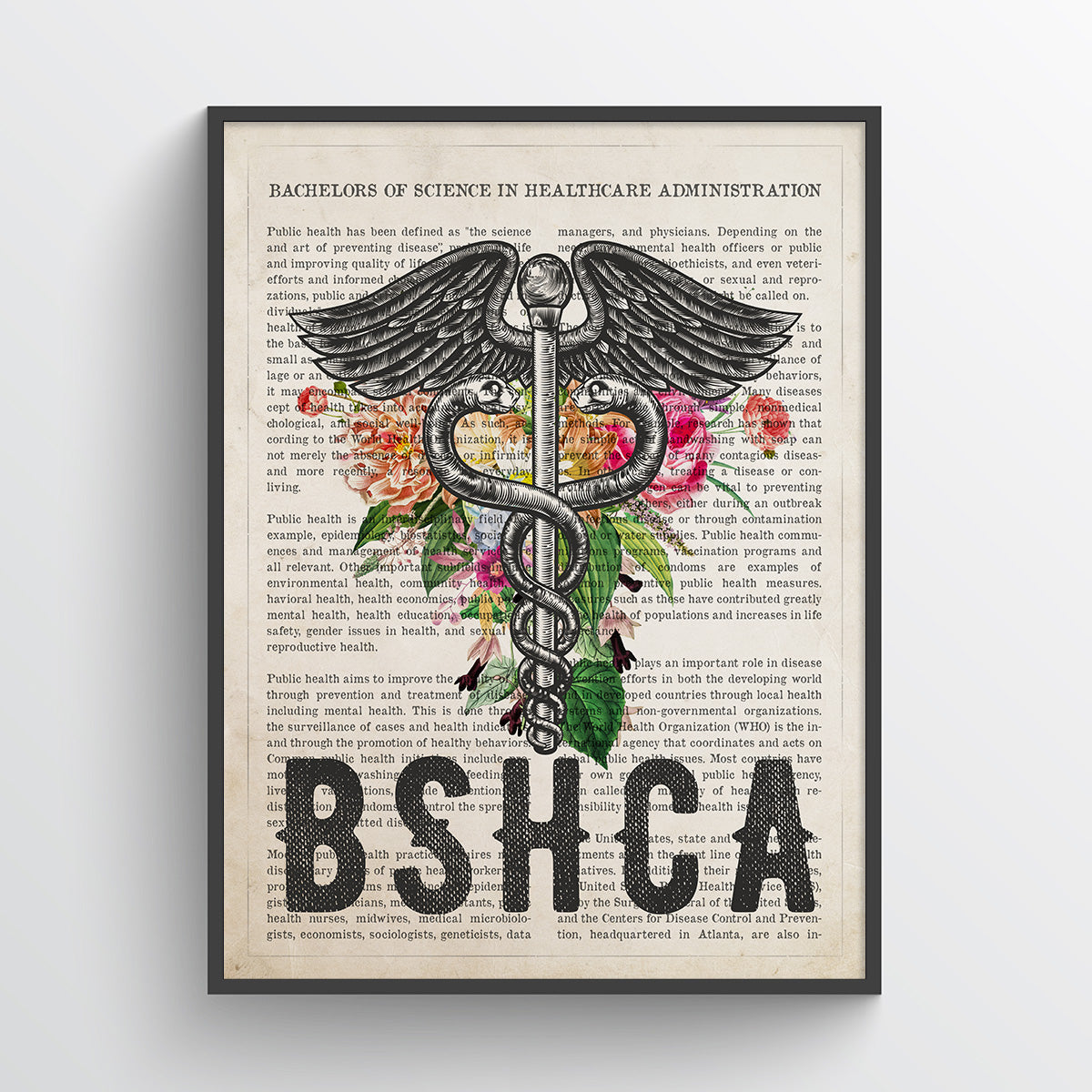 Bachelors of Science in Healthcare Administration Poster