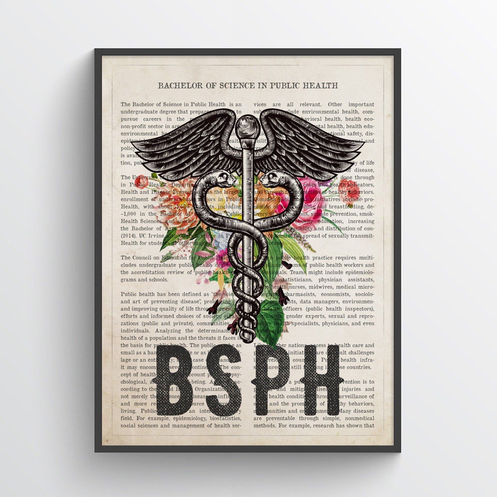 Bachelor of Science in Public Health Print