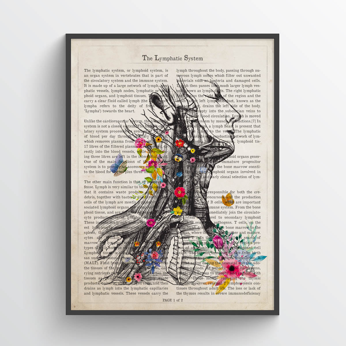 Lymphatic System Anatomy Print