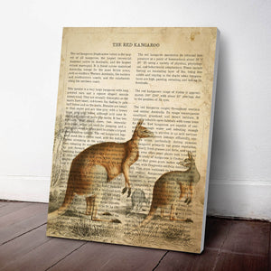 Red Kangaroo Print