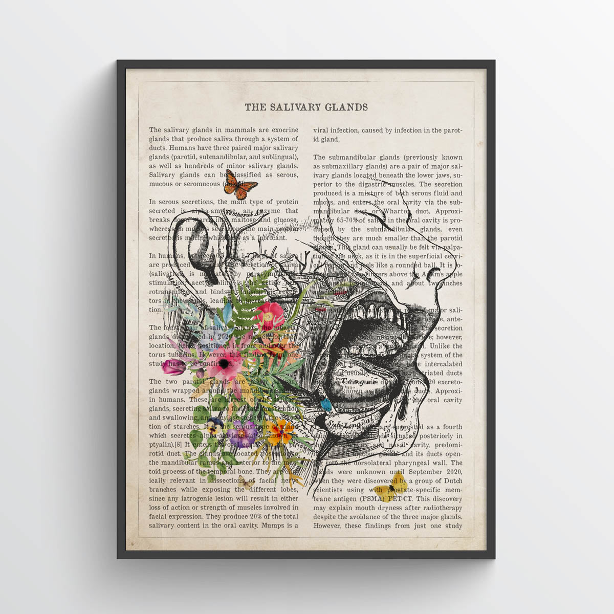 Salivary Gland Anatomy Print