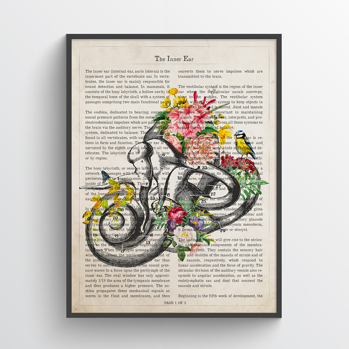 Inner Ear Flower Anatomy Print