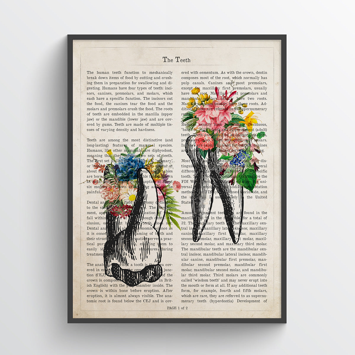 Tooth Flower Anatomy Print