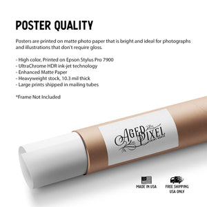 Doctor of Pharmacy Print