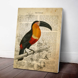 Toucan Print