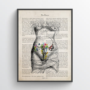 Human Uterus Flower Anatomy Print